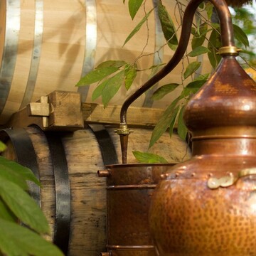 Whisky barrels in tropical house